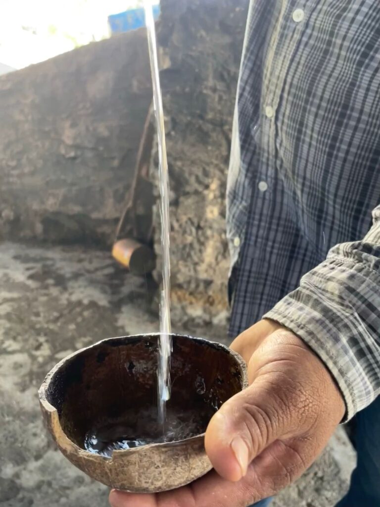 Prueba de mezcal en jícaras naturales